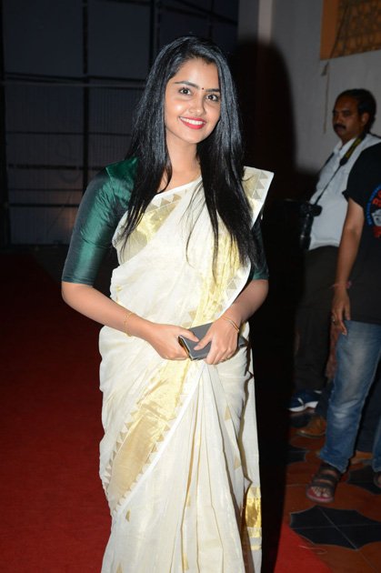 A-Aa-Movie-Audio-Launch